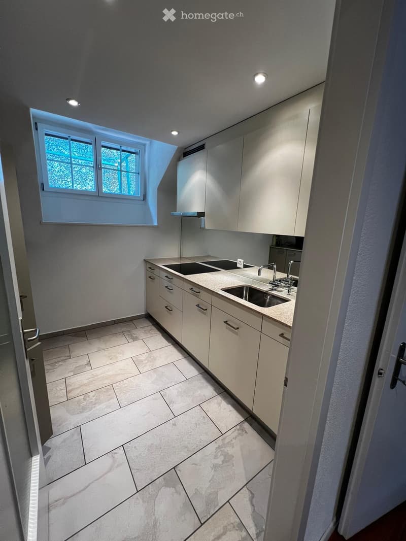 Modern kitchen with light-colored cabinets, a double sink, and a sleek countertop. The space features a skylight window and recessed lighting.