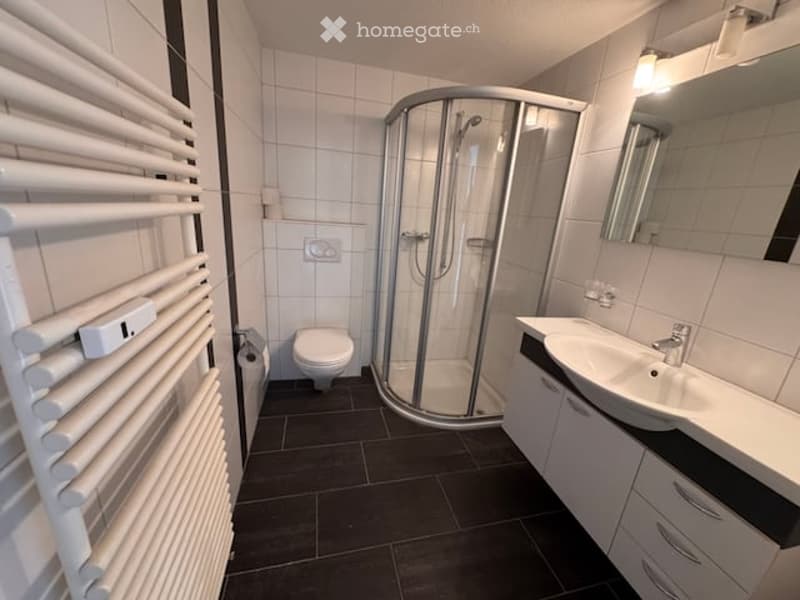 Modern bathroom with white tiles, black floor, shower stall, toilet, sink, and radiator.