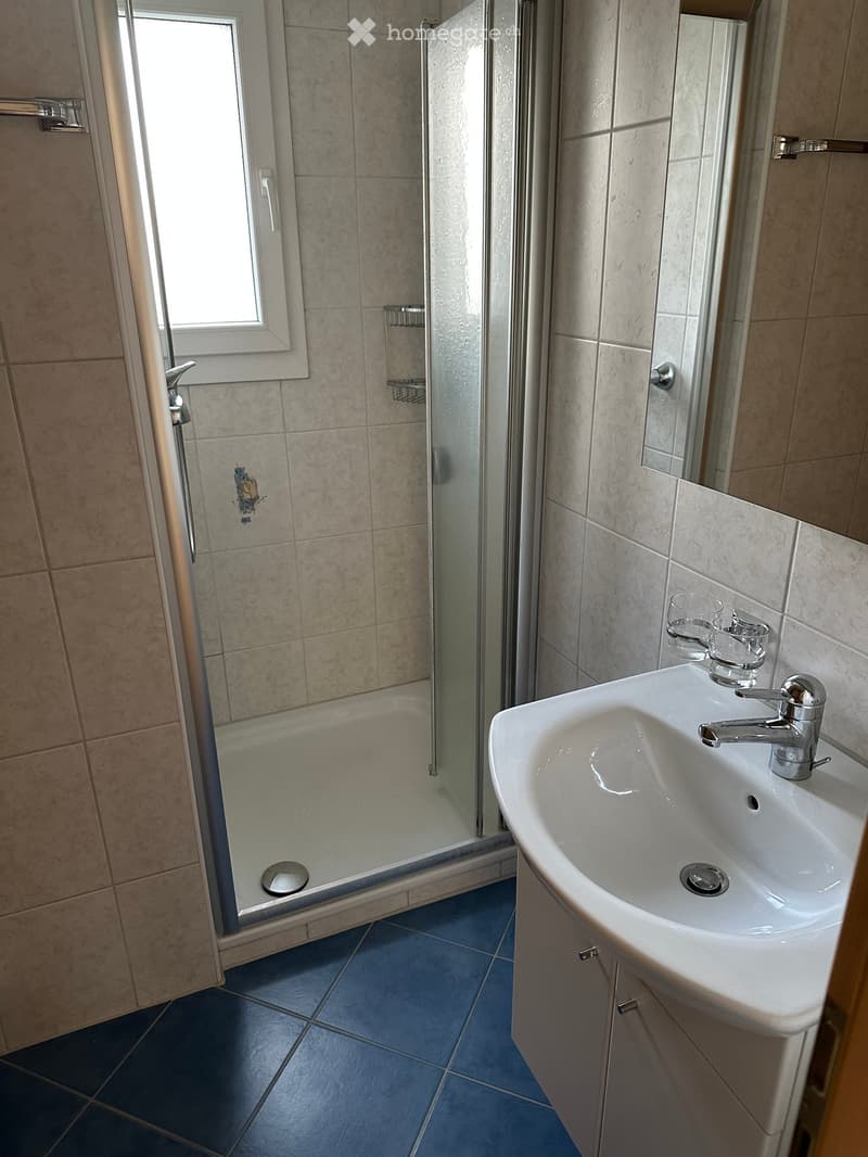 Bathroom with a white sink, chrome faucet, mirror, and a glass-enclosed shower with blue tiles.