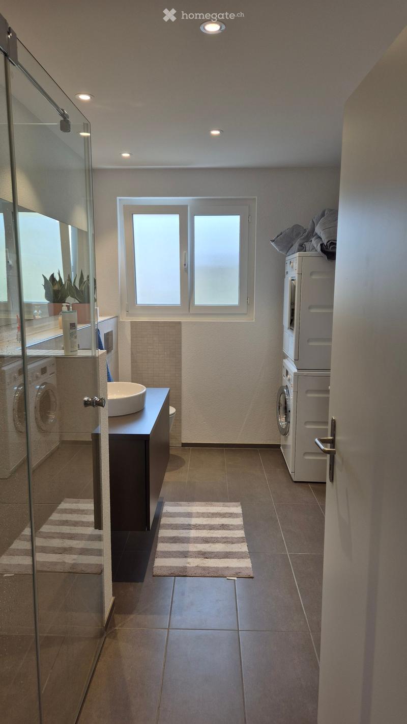 Modern bathroom with a glass-enclosed shower, a sink with a countertop, a toilet, a washing machine, a dryer, and a small plant on the windowsill.