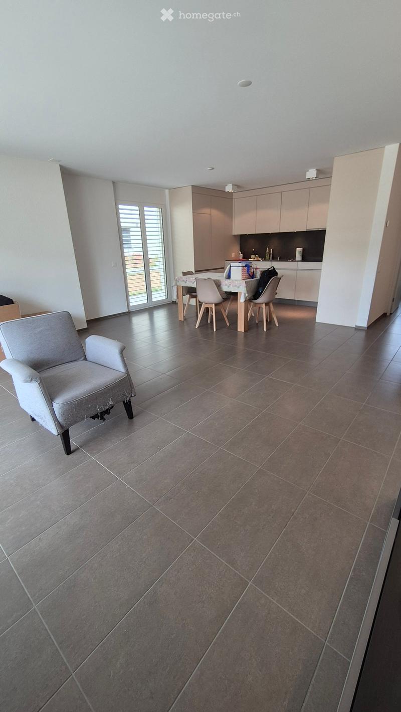 Open-plan living and dining area with grey sofa, dining table with chairs, and modern kitchen cabinets.
