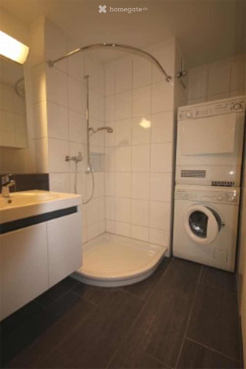 Modern bathroom with a corner shower, a sink with a faucet, and a washing machine. The walls are tiled, and the floor is dark wood.