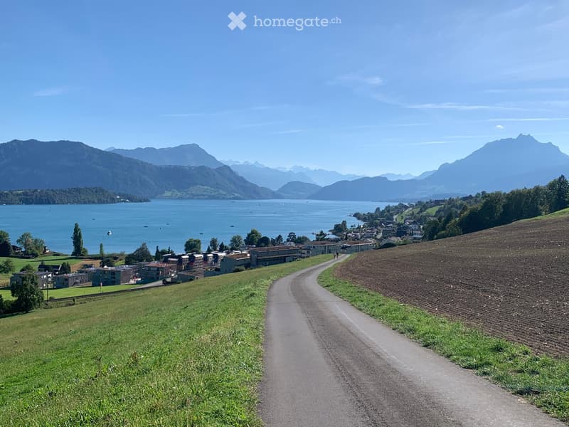 Erstbezug: 4.5-Zimmer-Gartenwohnung mit Rigi-Sicht – mitten im Naherholungsgebiet (5)