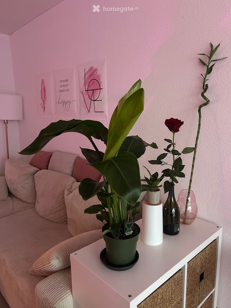 A cozy living room with a pink sofa, a white side table holding a large green plant, a vase with a rose, and a bottle. The walls are painted a soft pink and decorated with framed artwork.