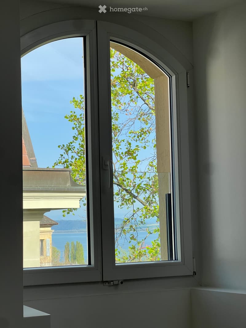 View from a window showing a tree, a clear blue sky, and a body of water in the distance.