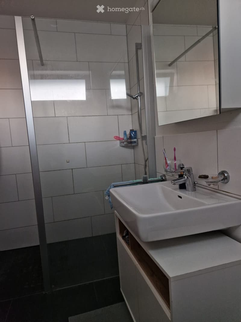 Modern bathroom with a white sink, chrome faucet, mirror, toothbrush holder, and a glass-enclosed shower area.