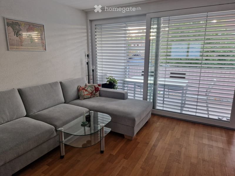 Modern living room with a grey sectional sofa, glass coffee table, and large windows with blinds. A world map picture hangs on the wall, and a small plant sits on a table near the windows.