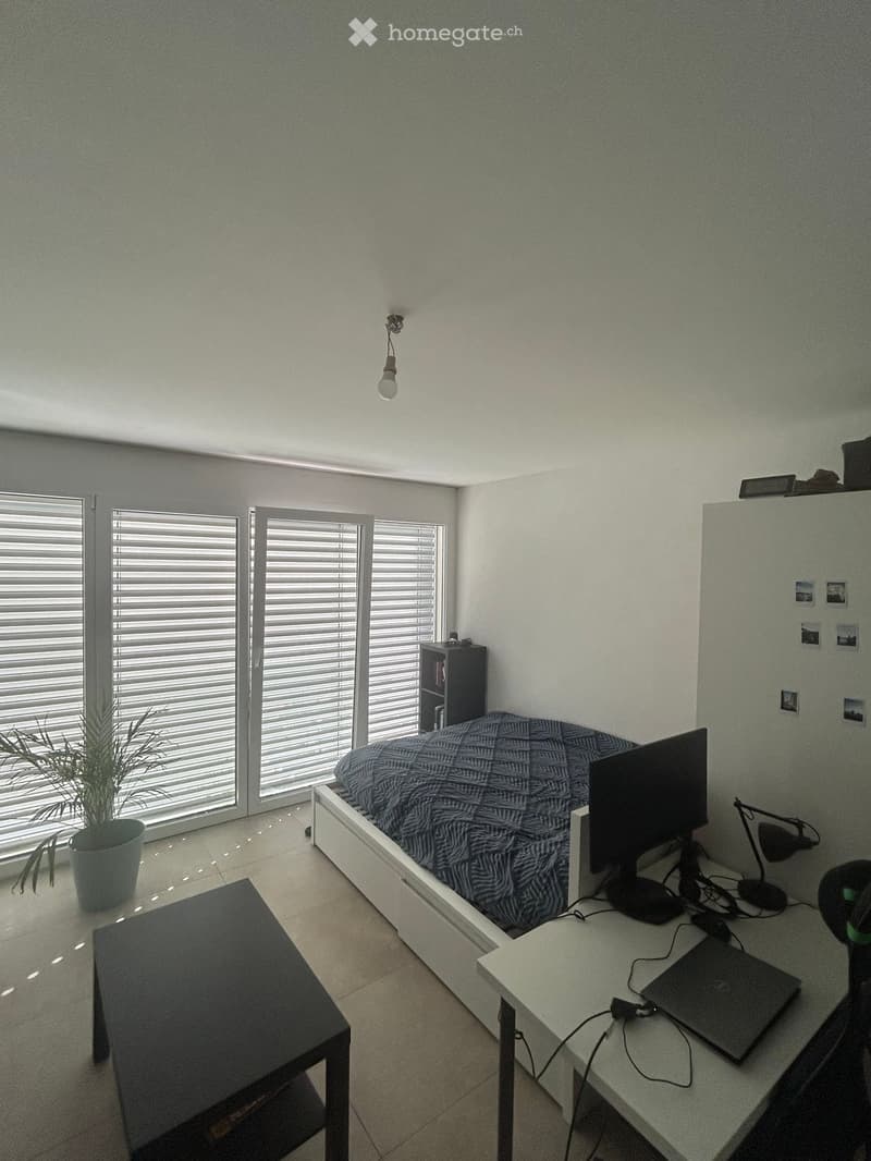 Modern bedroom with a bed, desk, laptop, chair, plant, and bookshelf. Large windows with blinds provide natural light.