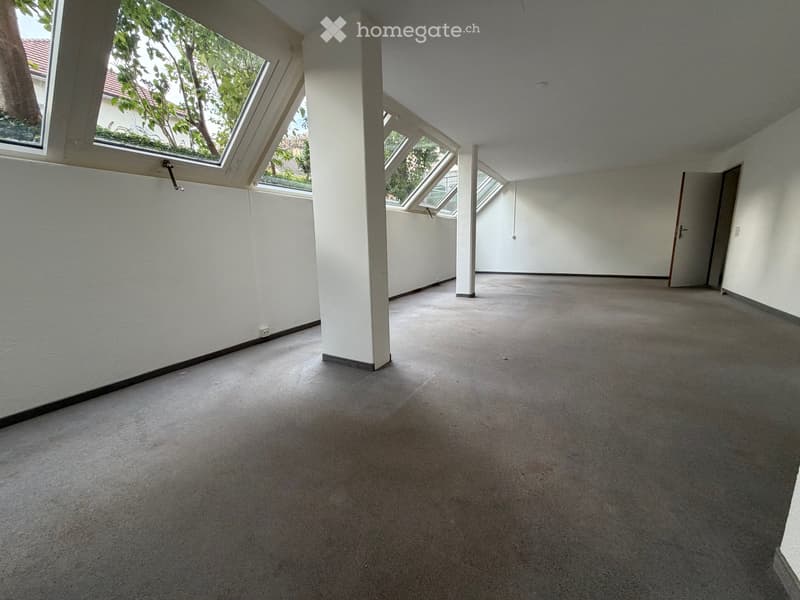 Empty room with white walls, carpeted floor, and multiple skylights providing natural light. No furniture or equipment present.