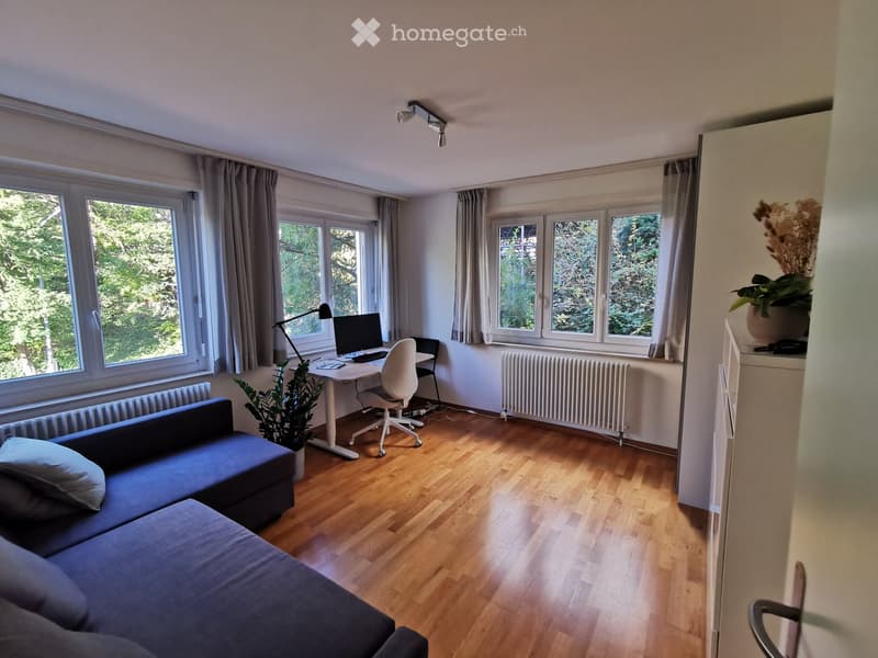 A modern, well-lit living room with wooden flooring, large windows, a sofa, desk, chair, and decorative plants.