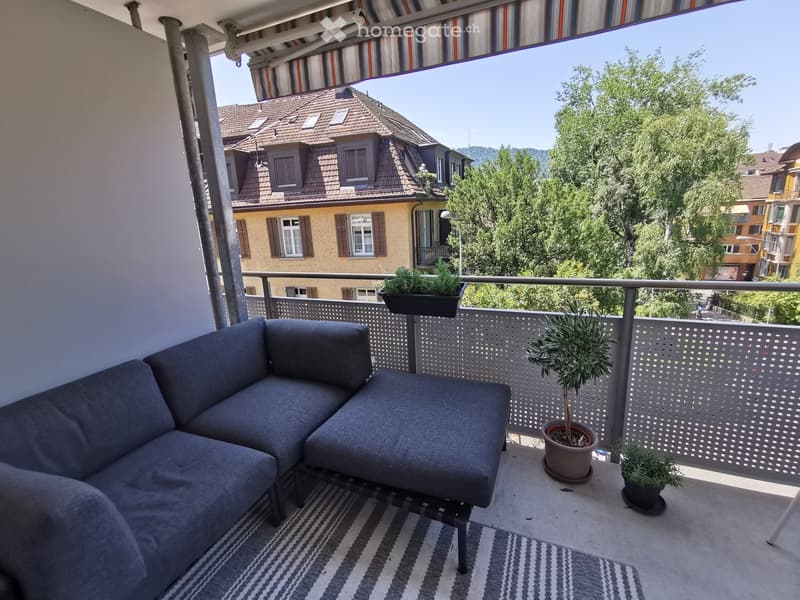 Balcony with a grey sectional sofa, small table, and several potted plants, overlooking a residential area with trees and houses.