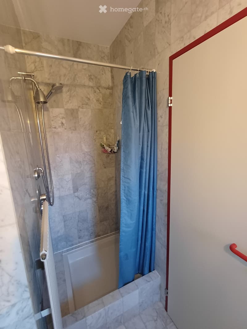 Modern bathroom with marble tiles, glass shower enclosure, blue shower curtain, and a handheld showerhead.