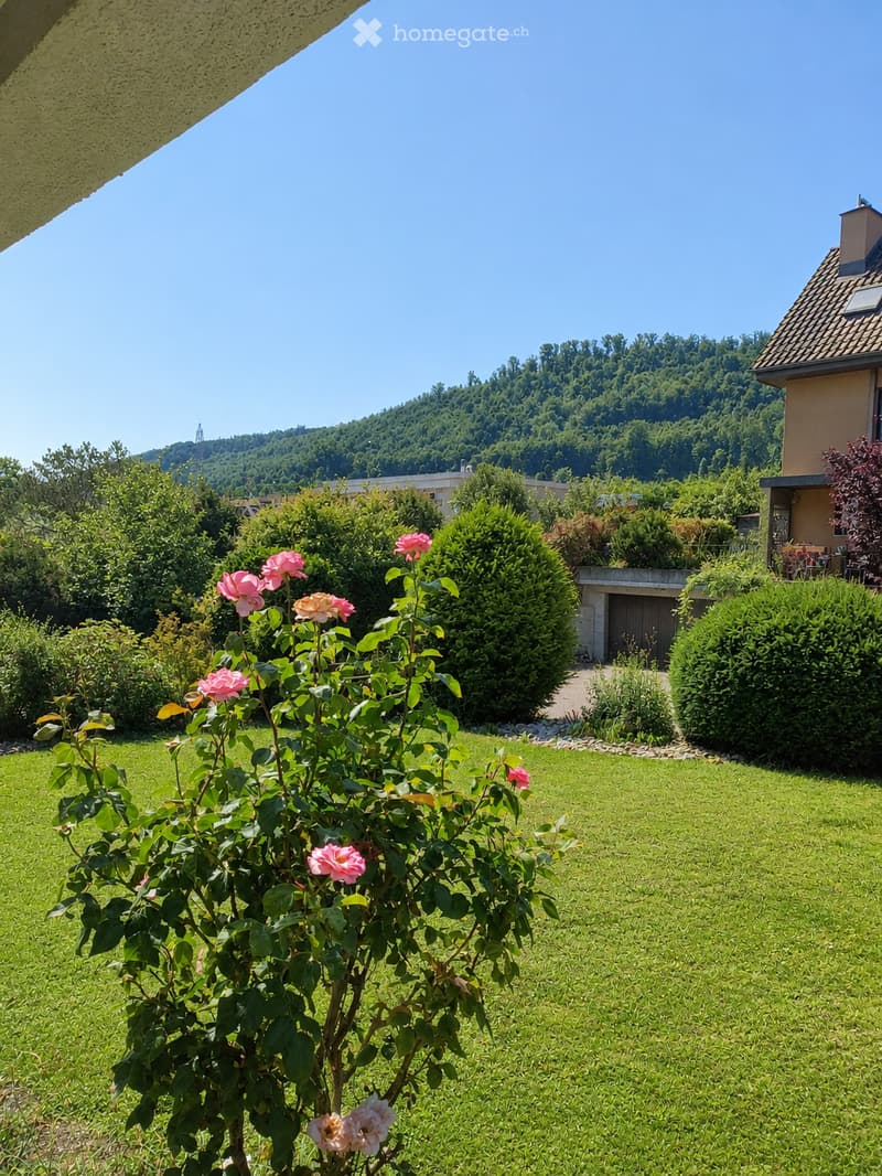 A well-maintained garden with a blooming rose bush in the foreground, surrounded by neatly trimmed hedges and a lush green lawn. The background features a house with a garage and a scenic view of a forested hill under a clear blue sky.