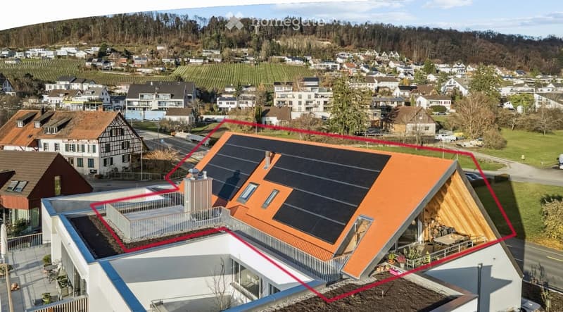 modern house, orange roof, solar panels, balcony, swimming pool, raised ground floor