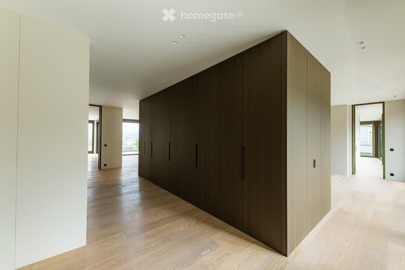 Modern hallway with light wooden flooring, white walls, and built-in dark wood storage units. The space is open and well-lit with recessed ceiling lights.
