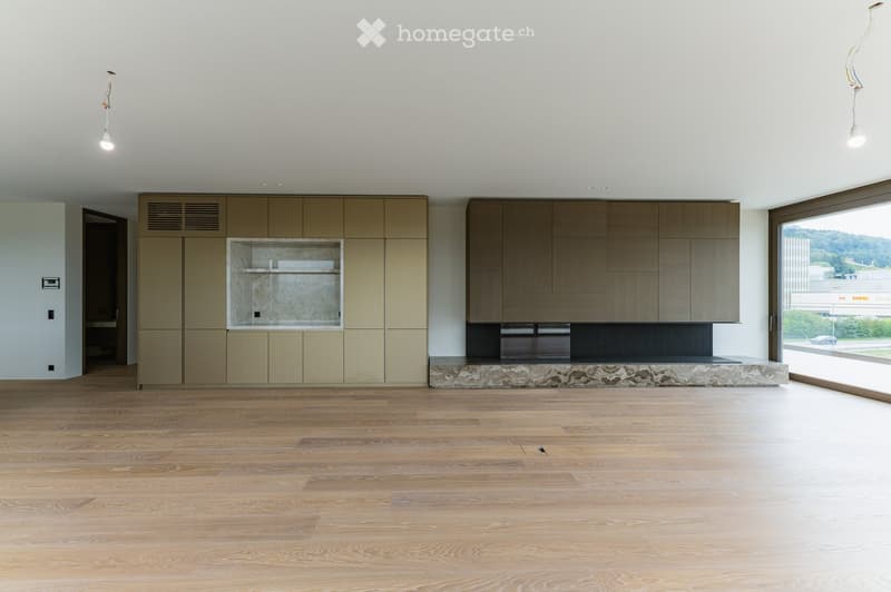 Empty room with light wooden flooring, white walls, built-in cabinets, and a fireplace area with a stone surround. Large windows provide natural light.