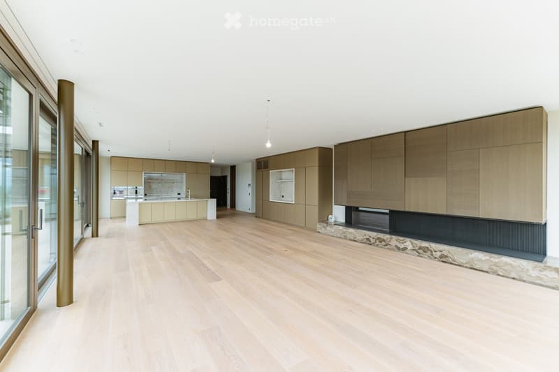 Open-plan space with light wood flooring, modern kitchen area with cabinets and island, and a built-in fireplace with stone surround.