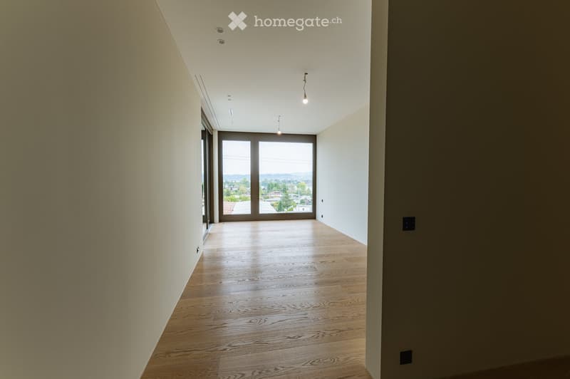 Empty hallway with wooden flooring, large windows, and modern lighting fixtures.