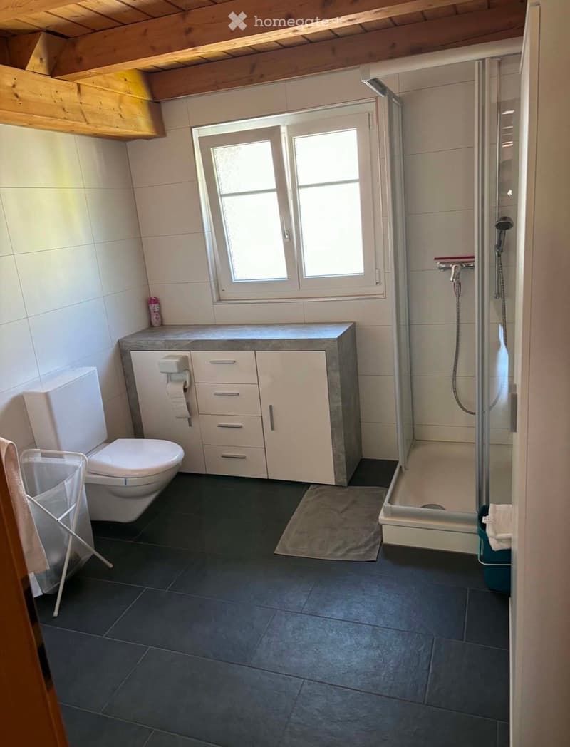Modern bathroom with dark tiled floor, white walls, a toilet, a shower, a sink with a cabinet, and a window above the sink.