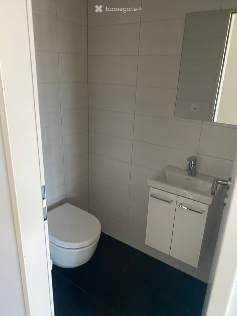 Modern bathroom with a toilet, sink, mirror, and cabinet. Grey tiles on walls and dark flooring.