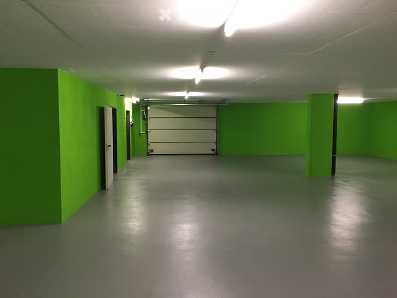 Empty underground parking area with green walls, concrete floor, and a closed garage door at the end.