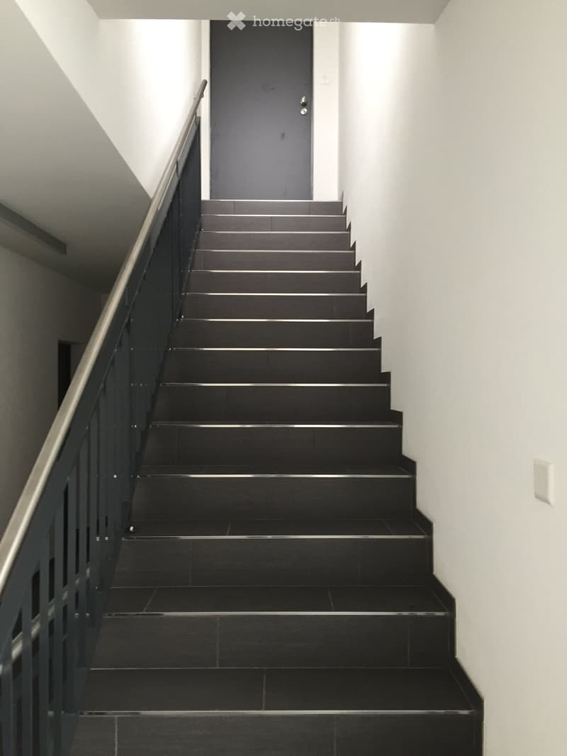 Modern staircase with black tiled steps and a sleek metal railing, leading to a closed door at the top.