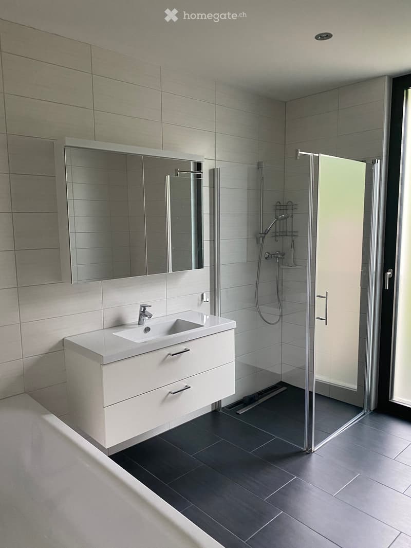 Modern bathroom with a white sink, mirror, and glass-enclosed shower stall. The walls are tiled in light grey, and the floor is dark grey tiles.