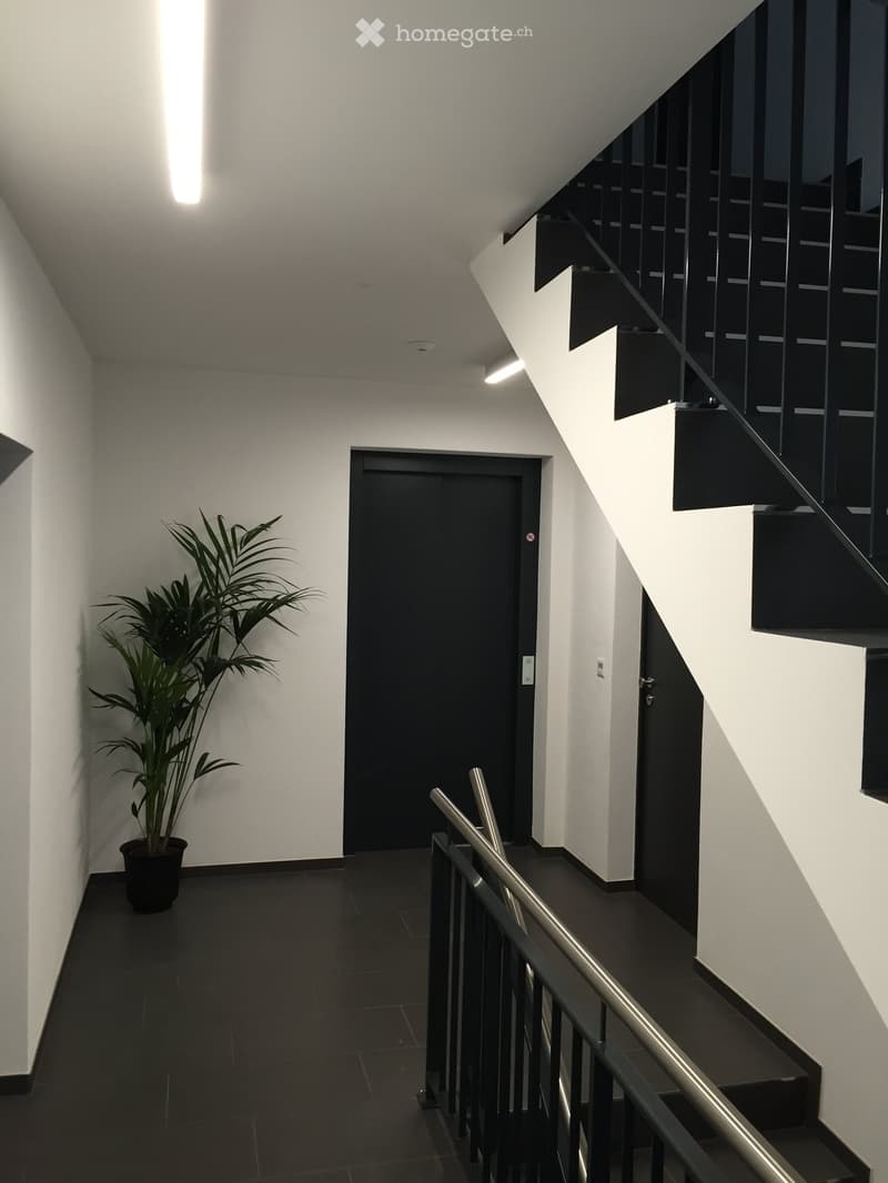 Modern hallway with white walls, dark tiled floor, staircase with black railing, and a potted plant near the door.
