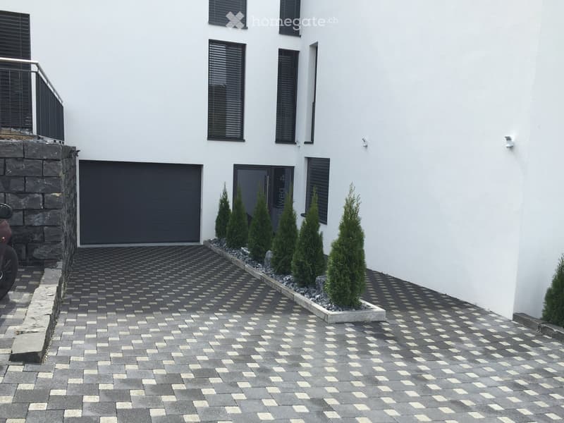 Modern two-story house with white exterior, black garage door, and neatly arranged coniferous plants lining the pathway.