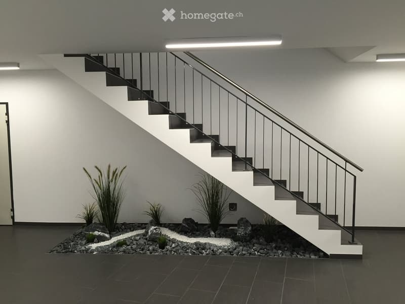 Modern hallway with a white staircase, metal railing, and a small rock garden with plants and rocks in the foreground.