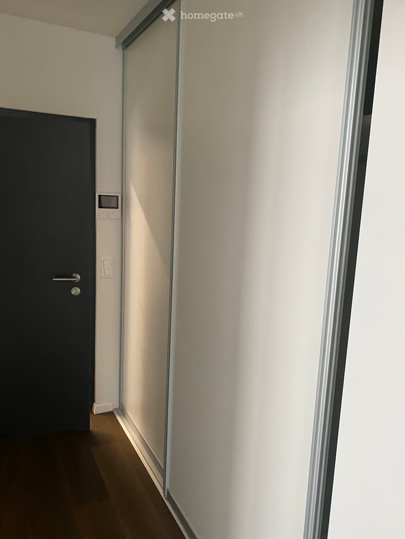 A narrow hallway with light-colored walls, a dark wooden floor, and a black door on the left side. A glass partition is visible on the right side.