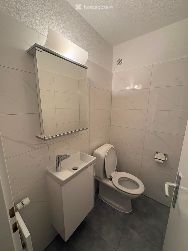 Modern bathroom with white marble tiles, a toilet, a sink with a chrome faucet, a mirror, and a toilet paper holder.