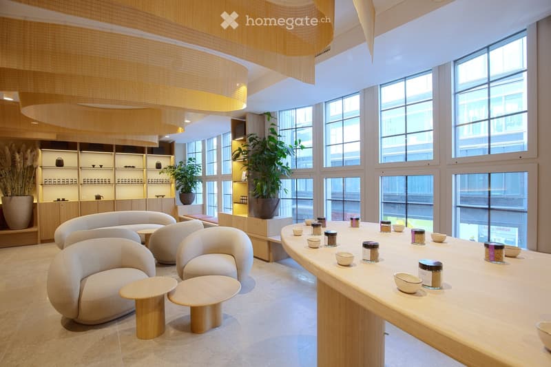 modern interior, beige couches, wooden tables, large windows, plants, wooden ceiling