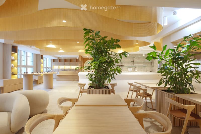 modern interior, wooden tables and chairs, beige sofa, wooden shelves, large plants, white countertops, yellow ceiling