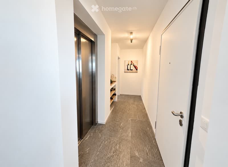 Modern hallway with white walls, grey tiled floor, built-in shelving unit, and a small artwork on the wall.