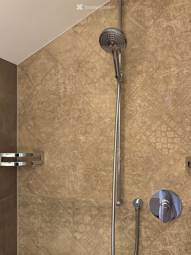 Modern shower area with a sleek, multi-function showerhead mounted on a chrome rail, featuring a textured brown tile wall and a built-in shelf.