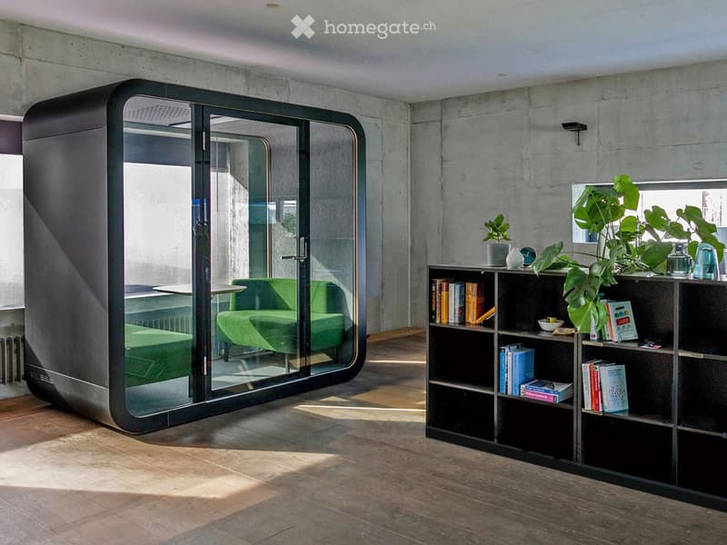 Modern, minimalist room with exposed concrete walls, wooden flooring, a green sofa inside a glass-enclosed area, a bookshelf with books and plants, and a small table.