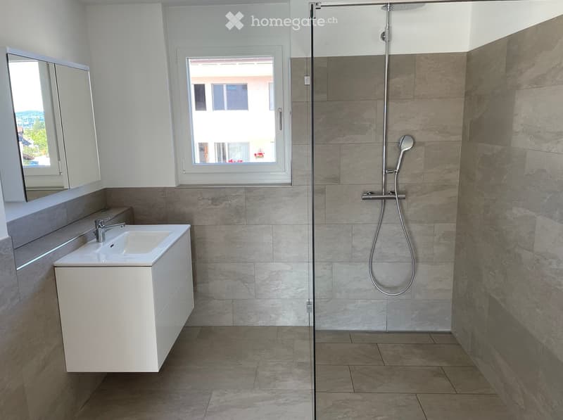Modern bathroom with a white sink, mirror, and a glass-enclosed shower area with a modern showerhead.