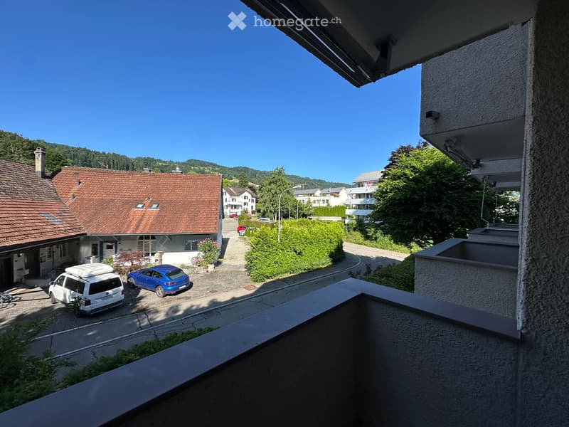 Balcony overlooking a residential area with houses, parked cars, and greenery.