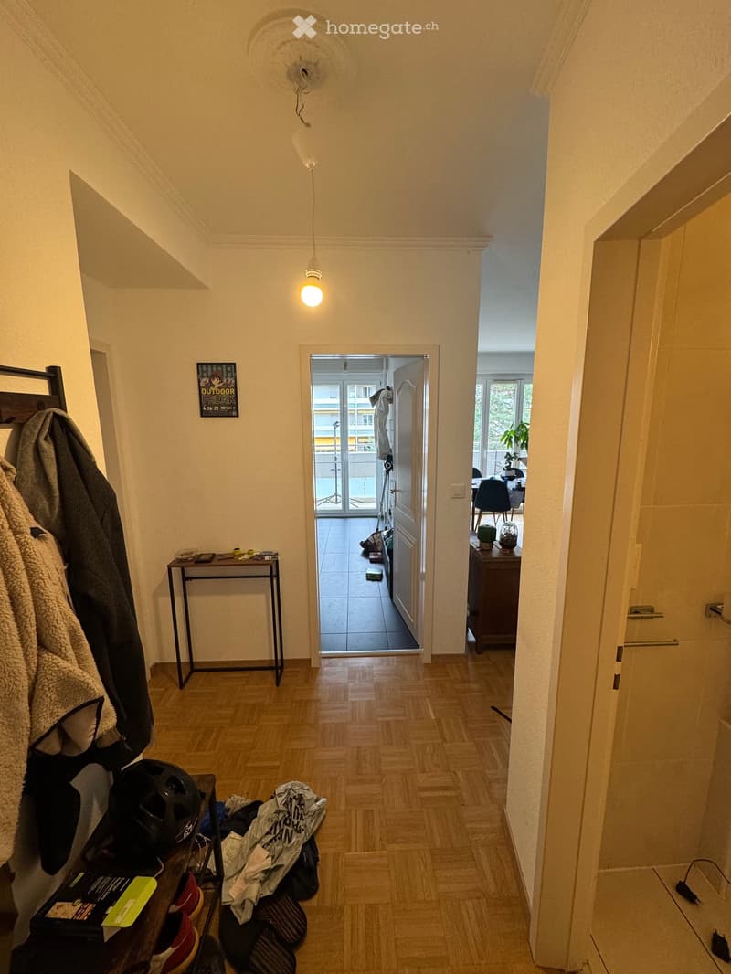 Appartement lumineux de 4 pièces à Champel, Genève (2)