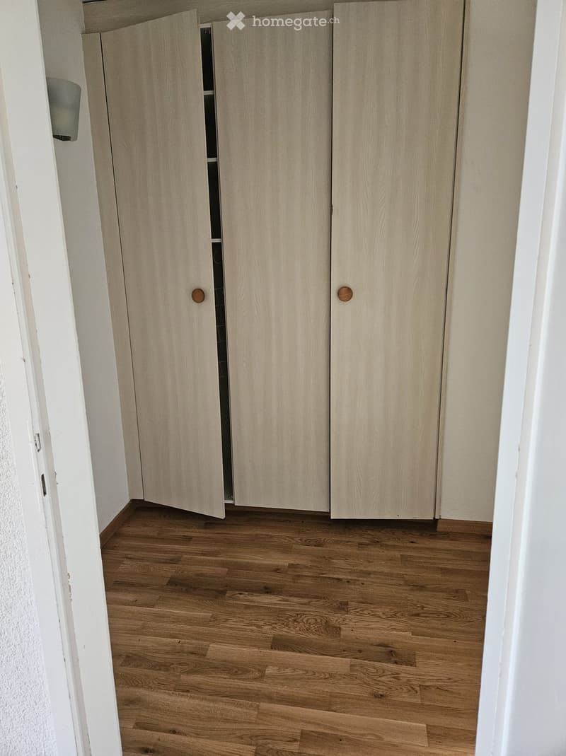 Empty room with wooden flooring and light-colored wooden closet doors.