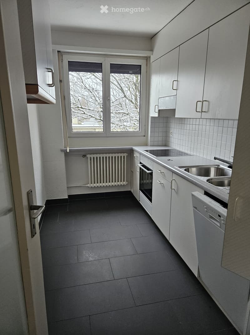 Modern kitchen with white cabinets, stainless steel sink, oven, dishwasher, and radiator. Large window with view of bare trees.