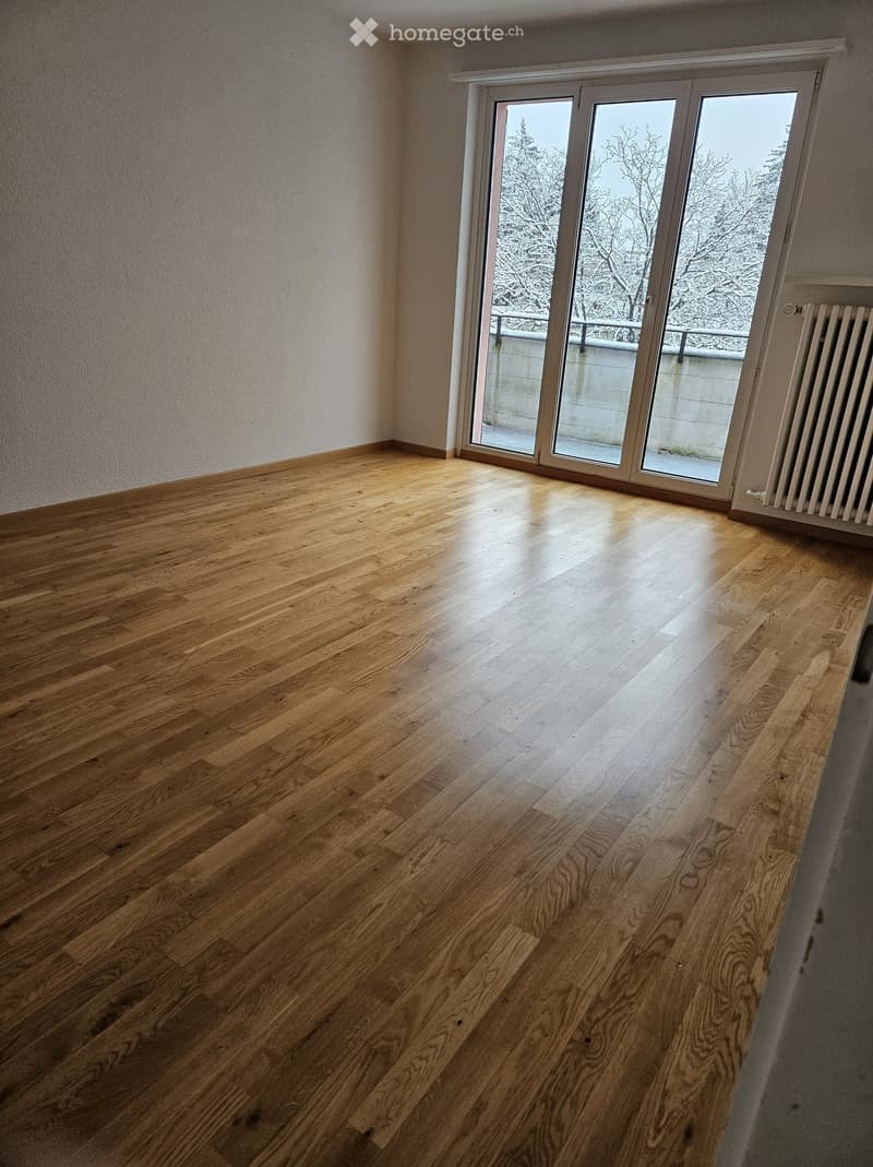 Empty room with light wooden flooring, large sliding glass door leading to a balcony, radiator on the wall, and a view of snow-covered trees outside.