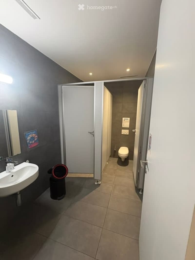 Modern bathroom with a white sink, mirror, toilet, and a separate shower stall. The walls are grey, and the floor is tiled.