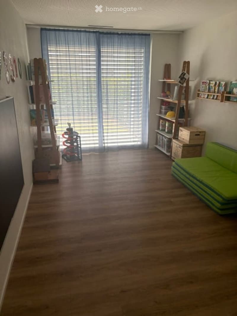 Bright living room with wooden flooring, large window with blinds, green sofa, shelves with books and storage boxes, and a screen on the left side.