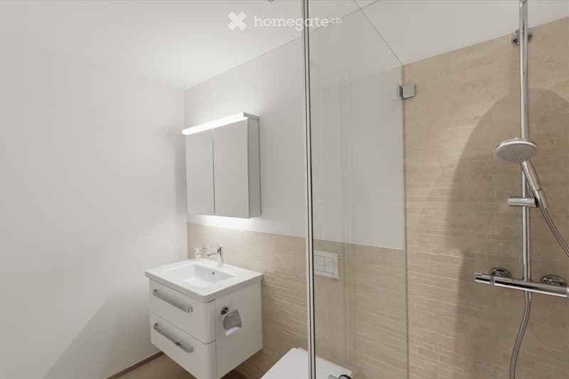 Modern bathroom with a white sink, mirror cabinet, and a glass-enclosed shower area.