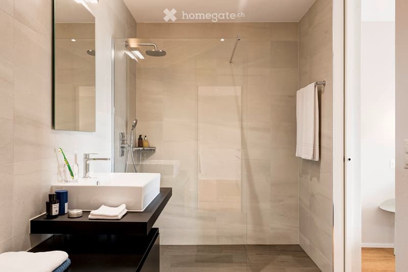 Modern bathroom with a white sink, chrome faucet, large mirror, glass-enclosed shower, and neatly arranged towels and toiletries.