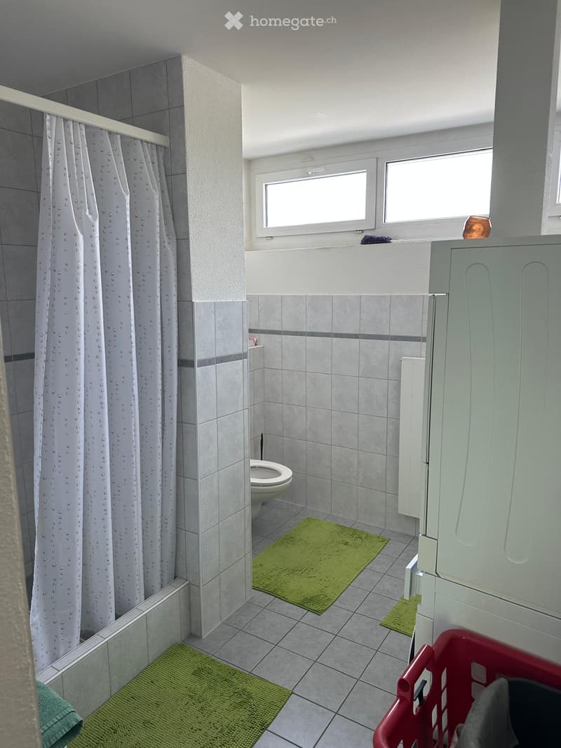 Bathroom with tiled walls and floor, a toilet, a shower curtain, a bathroom cabinet, and green mats on the floor.