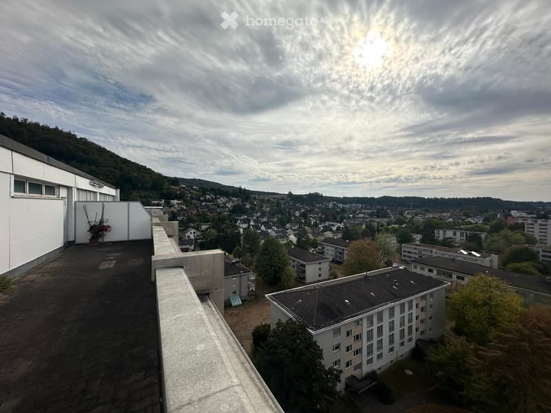 Roof terrace with a view of a town and surrounding hills, featuring a concrete railing and a small potted plant.