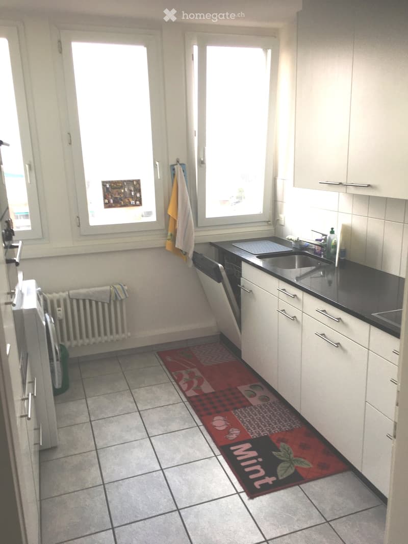 Modern kitchen with white cabinets, black countertops, stainless steel sink, dishwasher, and a red runner rug on the floor.
